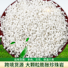 源头工厂珍珠岩大颗粒植物栽培园艺种植基质 疏水不闷根现货批发