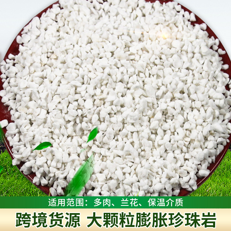 源头工厂珍珠岩大颗粒植物栽培园艺种植基质 疏水不闷根现货批发