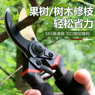 Cross-border pruning shears gardening scissors branch scissors garden pruning fruit tree scissors coarse branch scissors SK5 steel branch scissors