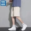 CP K17 apricot color