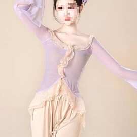 中国舞表演服现代舞练功服古典舞仙气飘逸舞蹈服长袖上衣女平板布