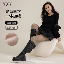 ���c��͸�w�����mŮ�ﶬ�Ӻ��͸����ѝ��ɫ�Bѝ�m���ο��⴩