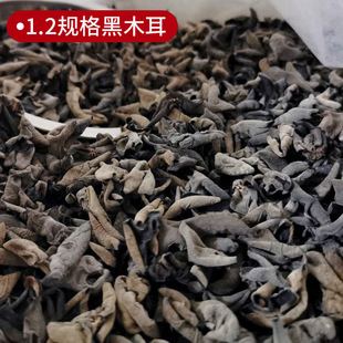 С���������ľ�� ɢ�b500g���l�lС�������Ƀ����o�����ݰl