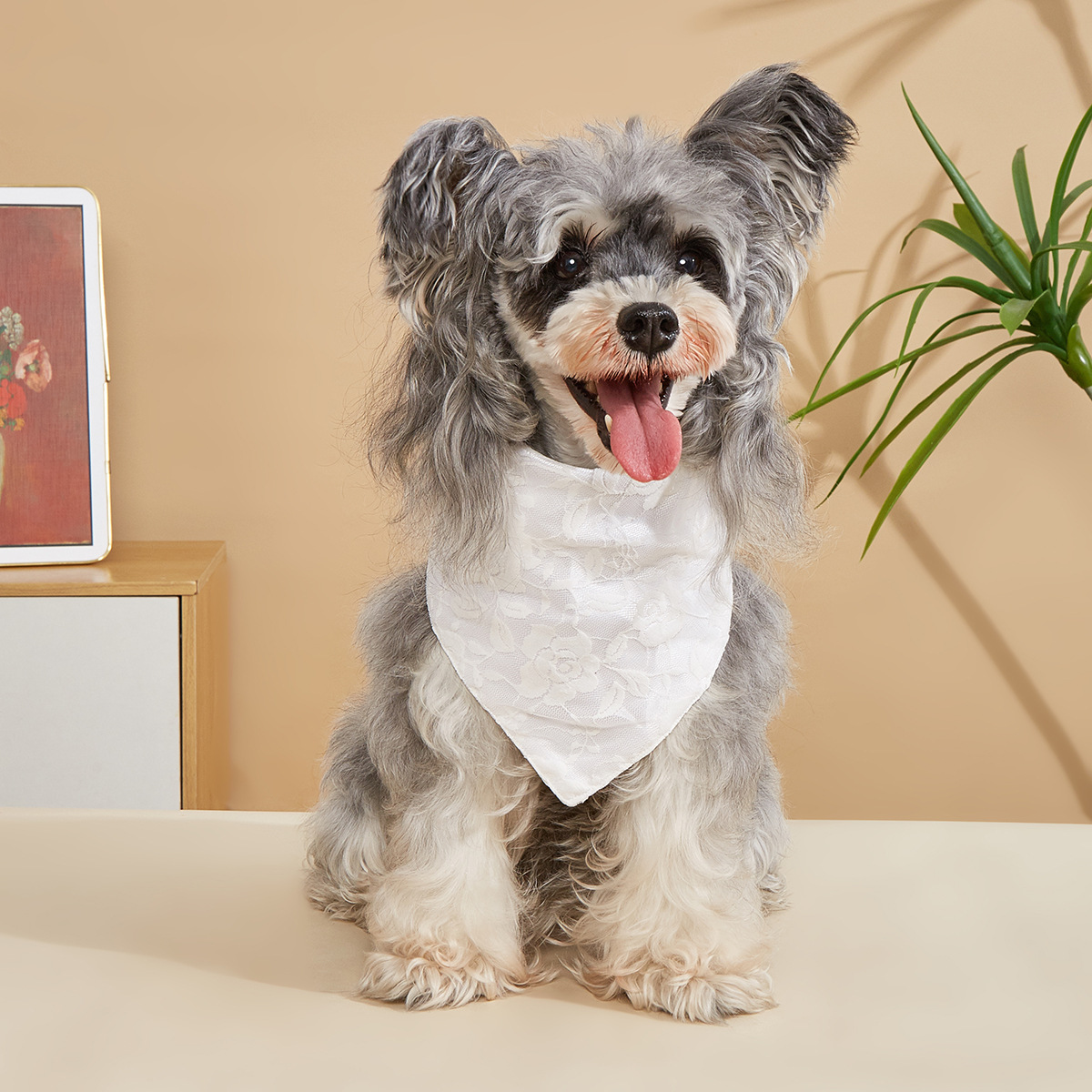 Tanpopo transfronterizo británico mascota boda mascota toalla de saliva bufanda de perro encaje mascota triángulo toalla