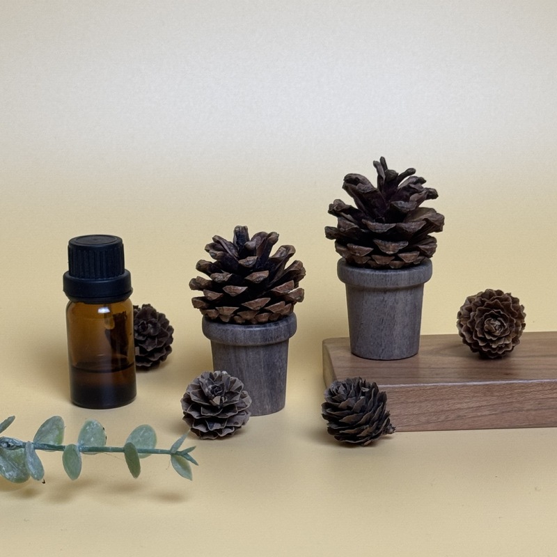 松果无火香薰香木香薰摆件精油家用车载扩香器卧室办公室生日礼物|undefined