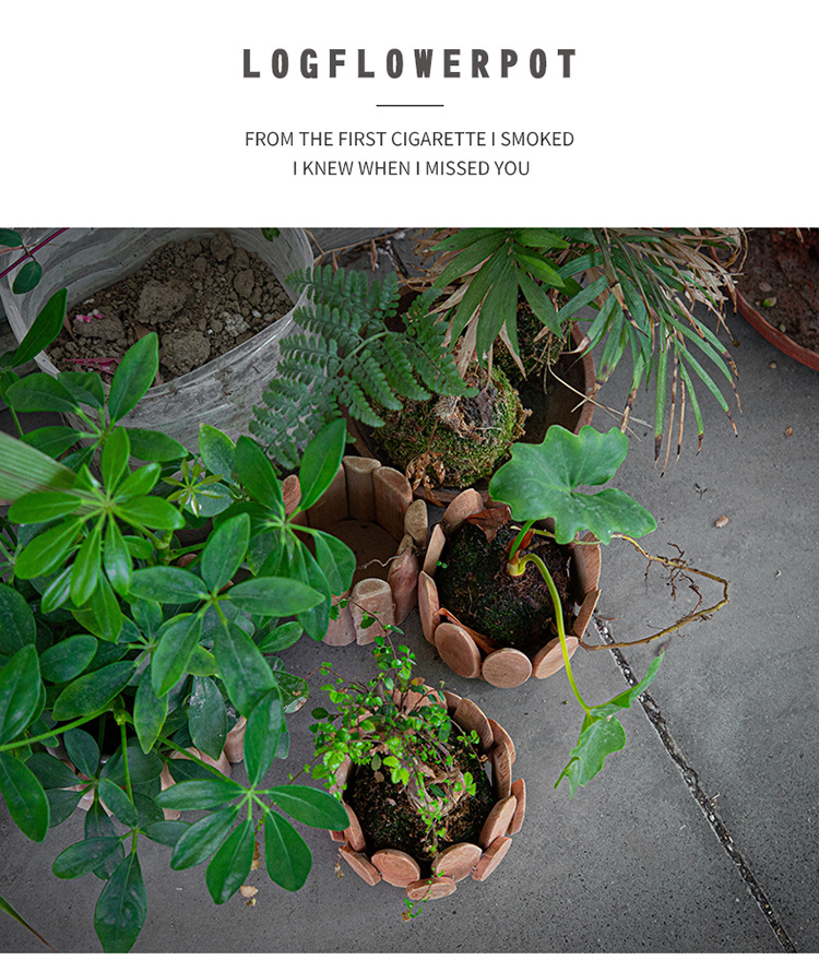 北欧漂流木花盆_10.jpg