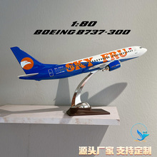 40CM����؛�Cģ��B737-300ABS��֬��ģ�YƷ 1:80�o�B�[���������