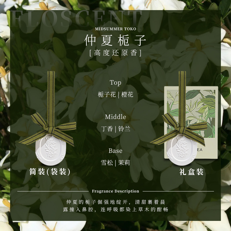 핫아이템! 듀이 치자나무(치자나무 복원)