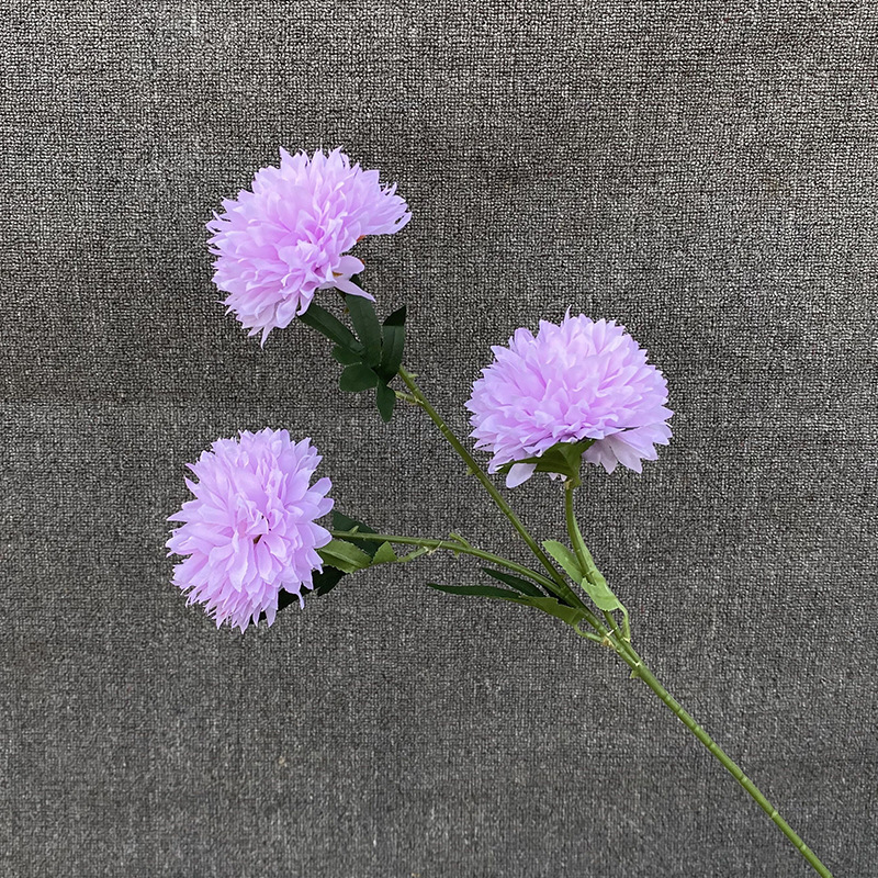 3-pronged dandelion-purple