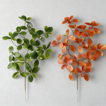 ����Gֲ �ָ����_ľ�~�W�t���޼Ҿ��b廨 ���^�����쾰��ֲ��