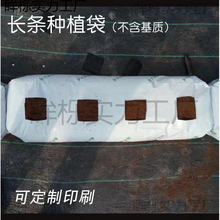 �L�l�Nֲ�����Ϻڰ�Ĥ��ϲ�ݮ���t������Ҭ��������o���ԉ�����