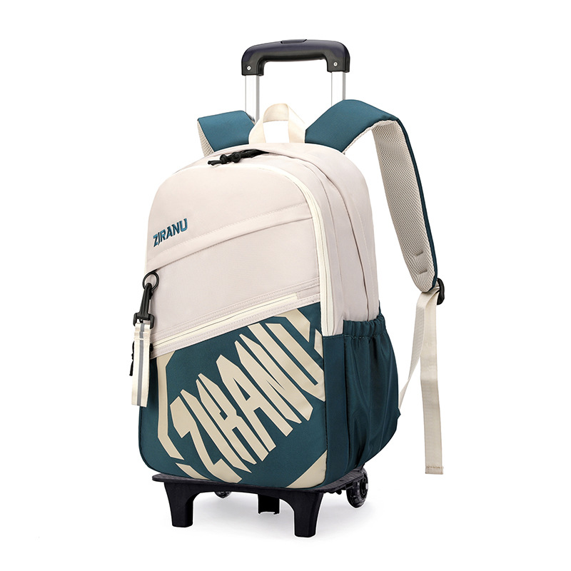 Mochila de pescado natural para niños de grado 3 - 6 con ruedas para subir escaleras, mochila de secundaria secundaria