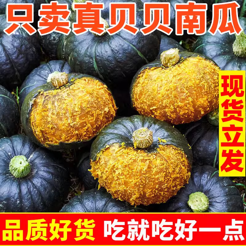 精品贝贝小南瓜5斤10斤整箱新鲜包邮板栗味粉面香甜新鲜蔬菜