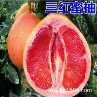 ̩���t��ʯ������޽ӹ�������Ʒ�N̩�����_���t����t�����Ә���