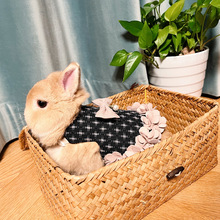 兔子珍珠花瓣裙衣服牵引绳兔兔荷兰猪猫咪保暖胸背带垂耳兔侏儒兔