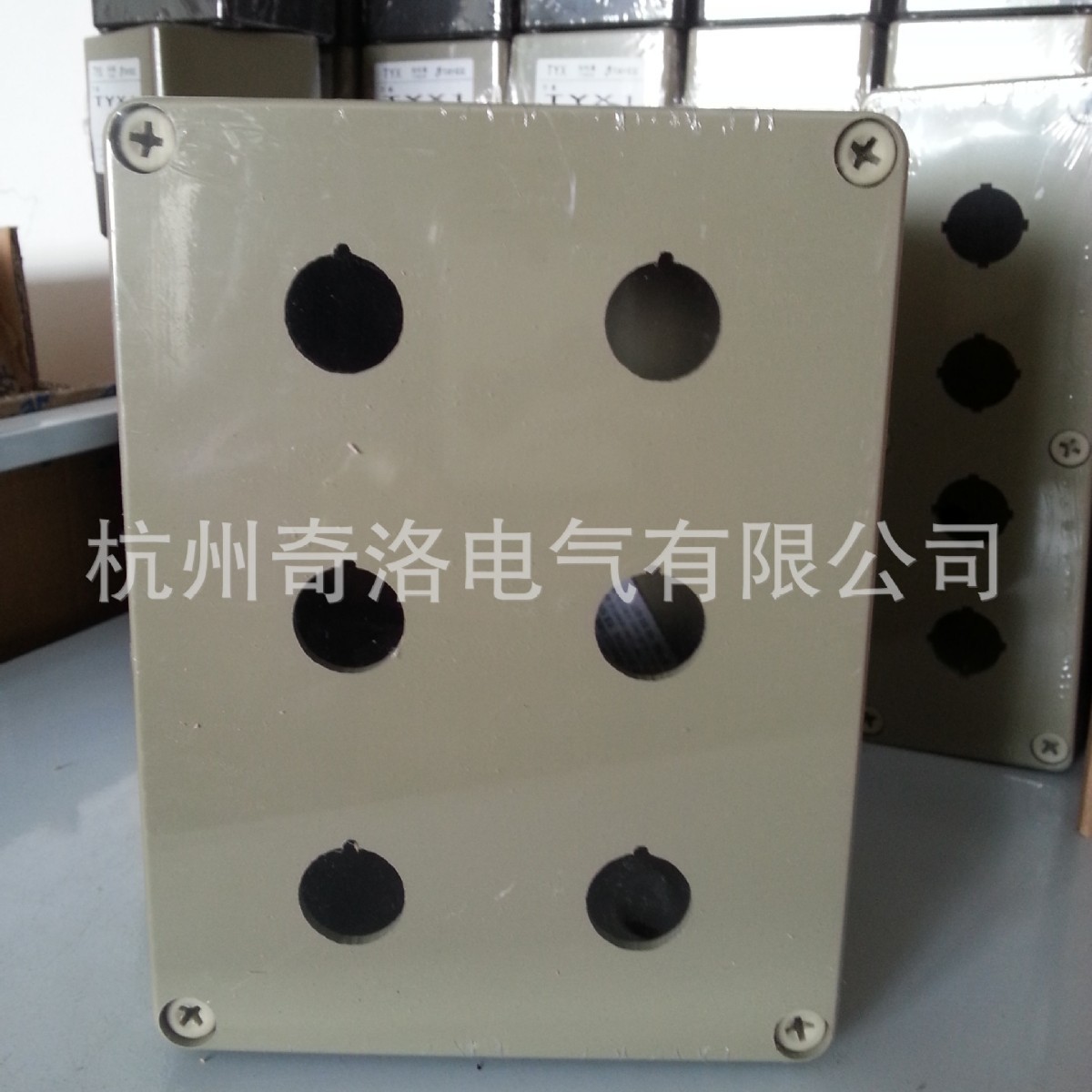 TAYEE上海天逸密封箱六孔按钮盒TYX6(200*150*105)IP65防护配电箱
