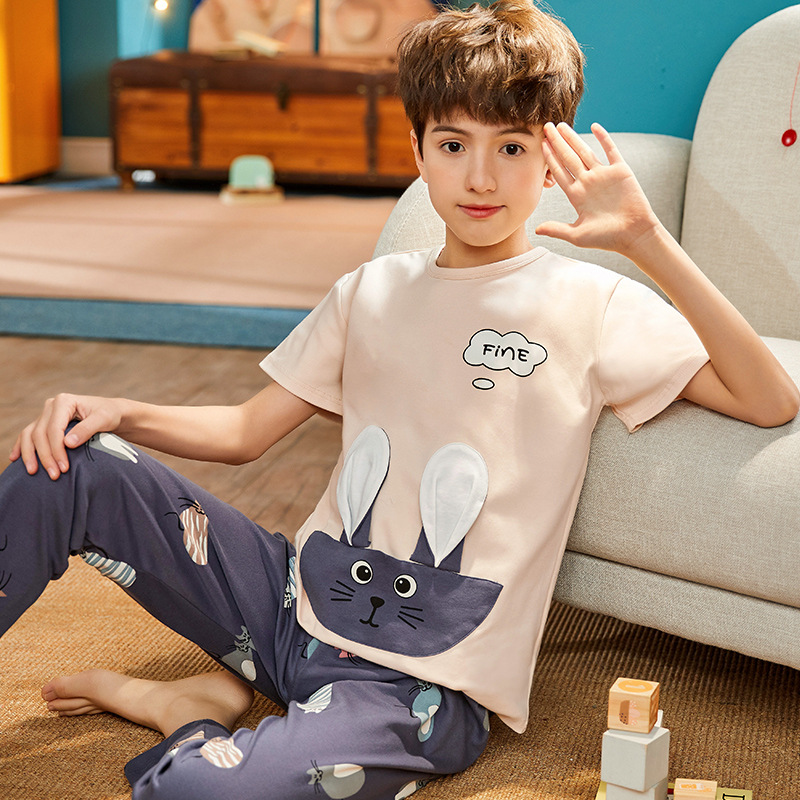 어린 이용 잠옷 소년의 여름 반팔 바지 봄과 가을에 중엽과 큰 소년을위한 순면 얇은 투피스 세트