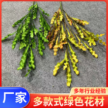 �Gɫ���Ļ�c�Gֲϵ�Ƶ��c�b���Ȼϵ�ٻ��쾰�b�ֲ��ɭϵ����