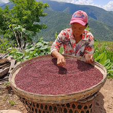 ����r�ҳ�С���Ԯa��؛��С��޲����ܛŴ��ɳ2010�·���؛