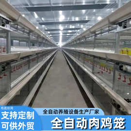 自动肉鸡笼H型框架肉鸡笼子养殖场鸡棚可用镀锌材质层叠式肉鸡笼