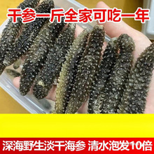 野生海参干货印尼黑刺参孕妇级特价正宗刺参纯淡干海参秃参非辽参