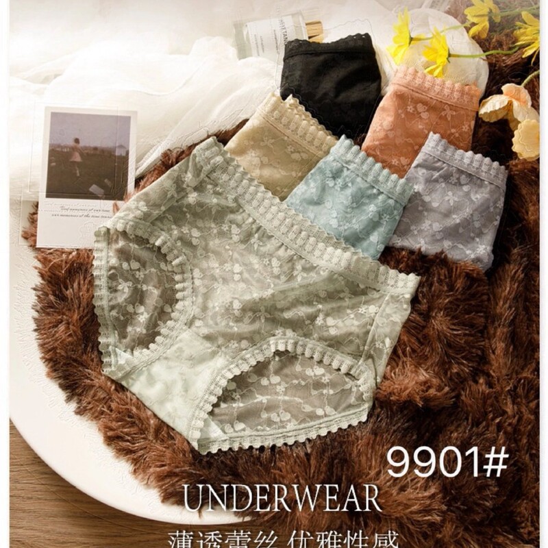 9901 # Exquisite Lace Mid-Waist Women's Underwear 28*23cm Light and Breathable Triangle Women's Pants Wholesale Sale
