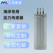 MP5310海洋专用压力传感器水下机器人船舶航海海水压力测量耐腐蚀