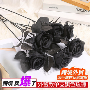 ���R�d�羳��ħ�g�����õ�尵���L�f�}�������b廨�����L�ٻ�