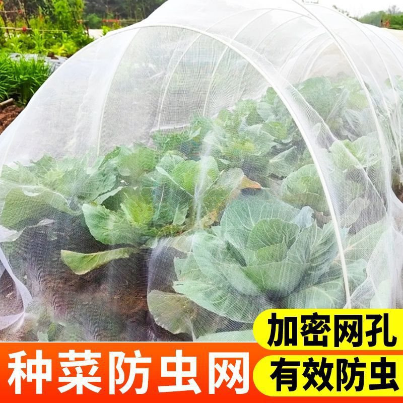 防虫网种菜目防虫罩加密纱网菜地果园网蔬菜防鸟罩菜园菜地