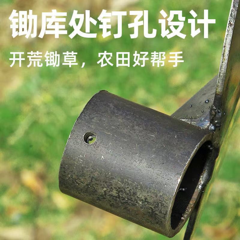 微信图片_202504141505381.jpg
