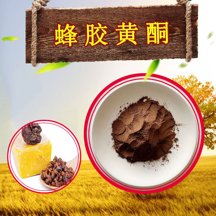 蜂胶黄酮80%欢迎咨询蜂胶粉 诚信商家小包装 /袋100g蜂胶提取物
