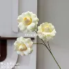 Luocha rose milk yellow