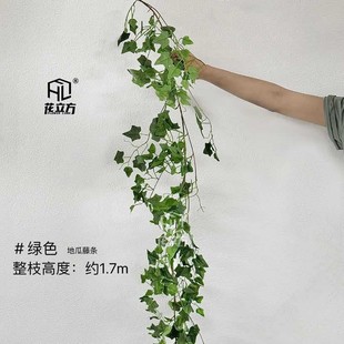 �羳�����ٗl�ع��~�����پG�}�~����Gֲ�b������ٻ��G�~�ٗl