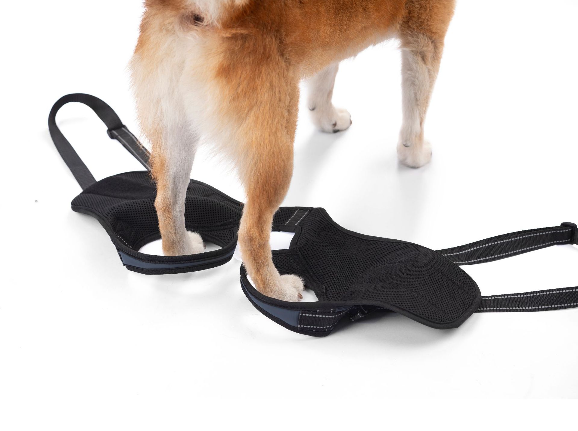 Cinto de suporte para patas traseiras de cães idosos_voghion.com