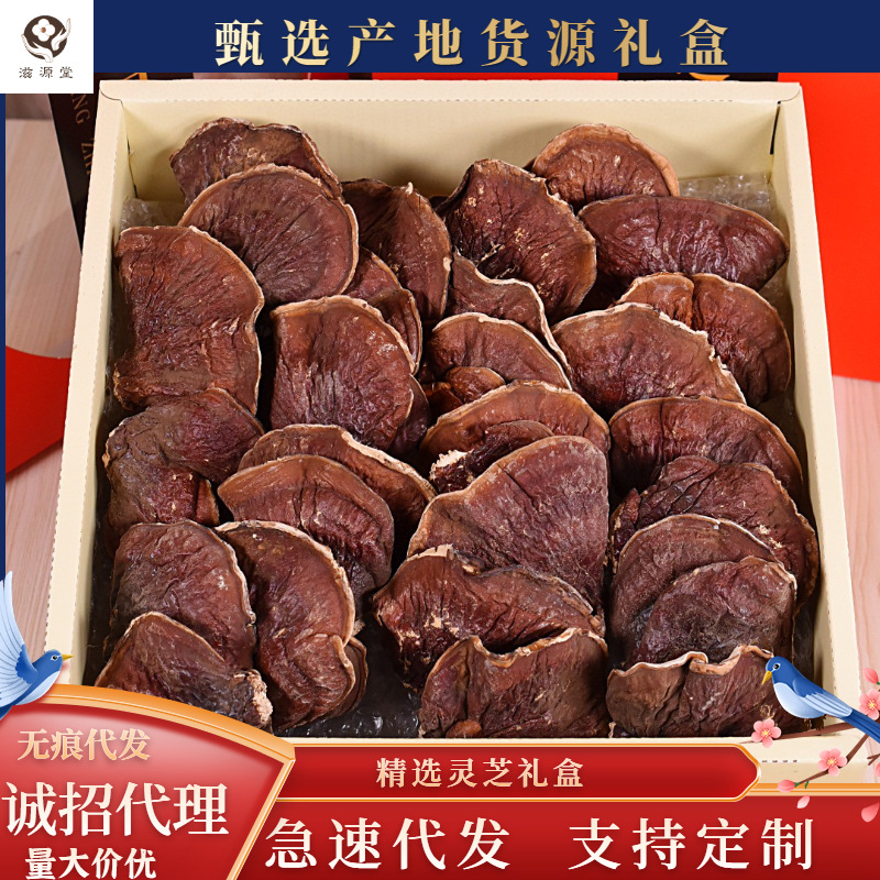 Changbai Ganoderma lucidum dried food Mountains Pruning Nyingchi Paojiu section Mill 250g Gift box Ganoderma lucidum