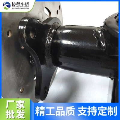 Rear axle lever suspension rear axle electric