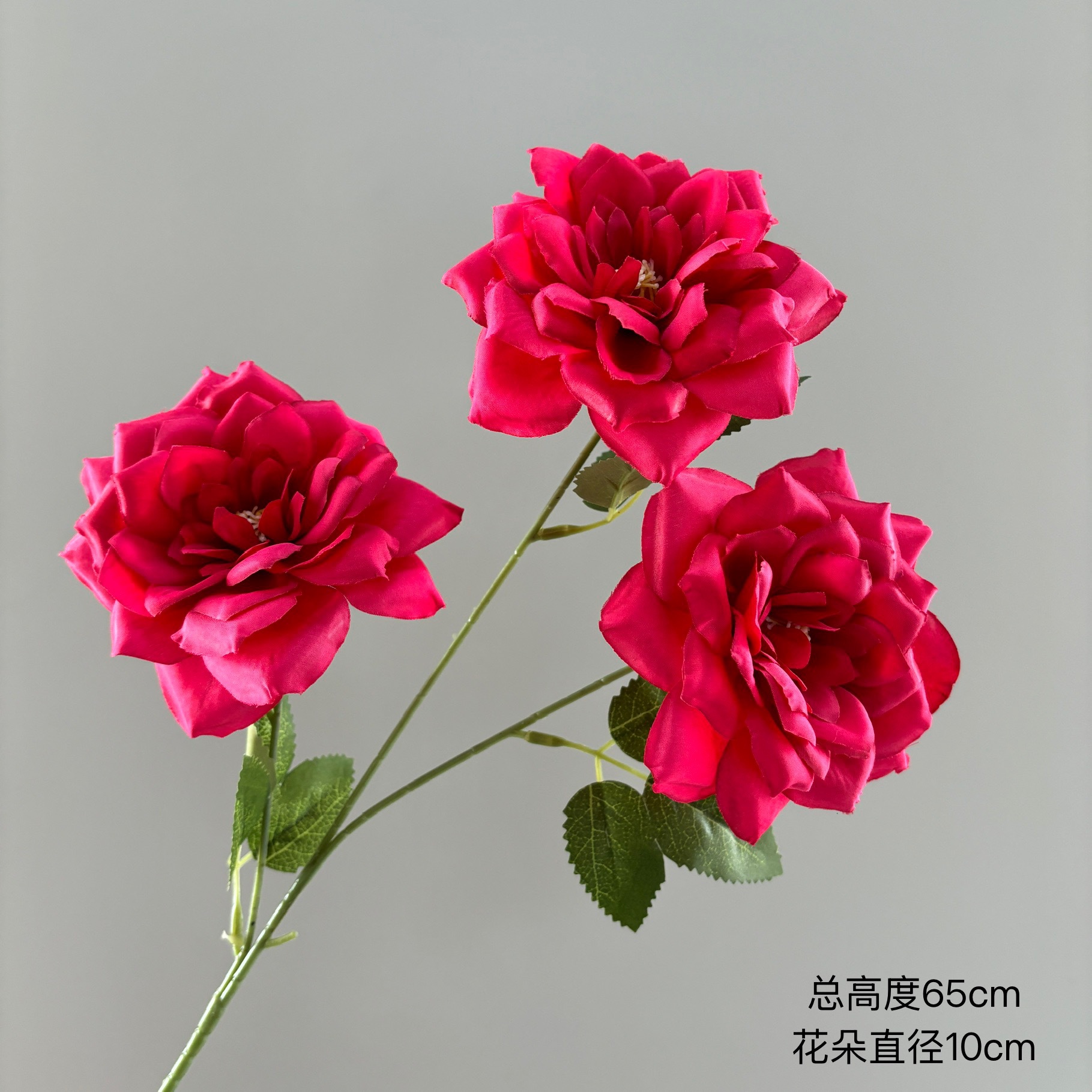 우아한 장미 3송이