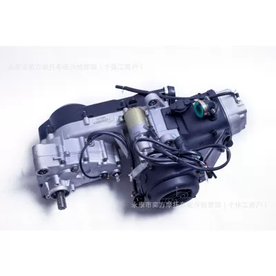 Gy6 Jinlang Engine 161/163-200Cc Other starting systems