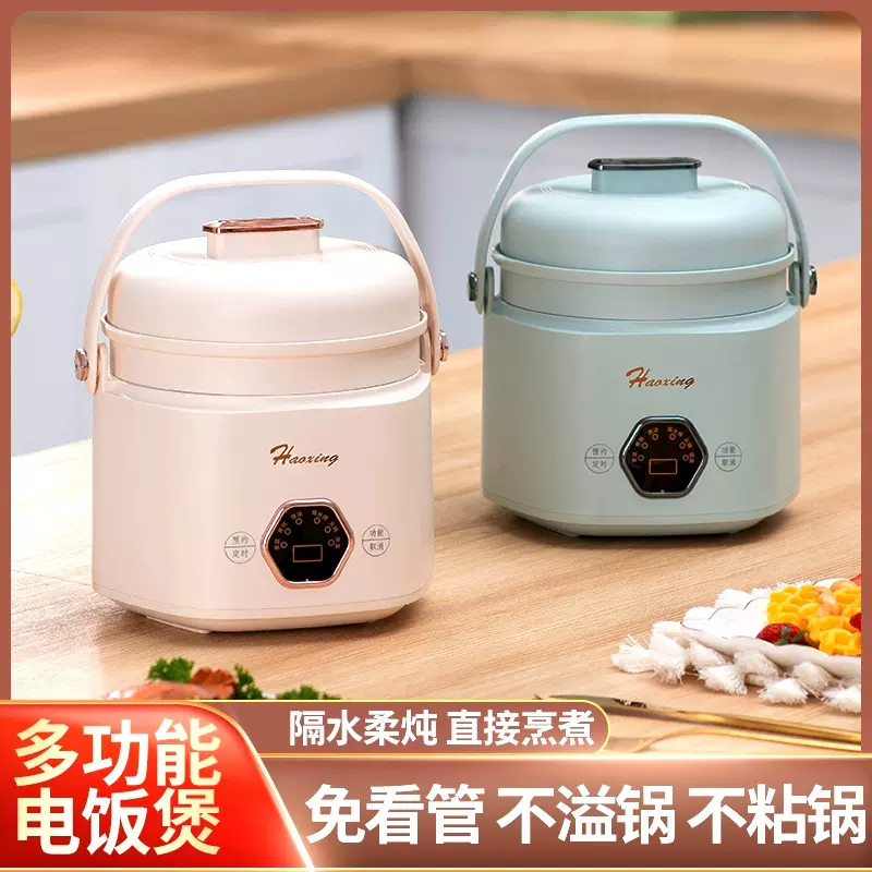 多功能迷你电炖锅带炖盅家用智能隔水炖电炖盅上班族便携煮粥煲汤