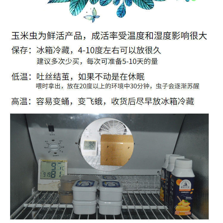 一键上货_20241007174736