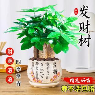 lؔС2024¿Gֲ҃⸻Fļˮlؔ辰