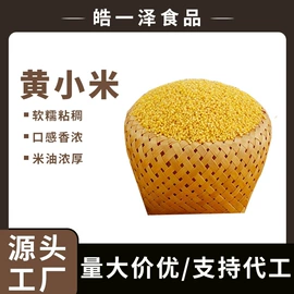 其他五谷杂粮;豆类;麦片