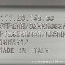 111.20.140.00 SNP2NN-025RN06SAP1E6E5NNN����˹Danfoss���ֱ�