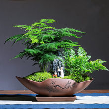 �������Ϙ��辰�՚�������B�ڹ��k���ҾGֲ�҃�ֲ�������������