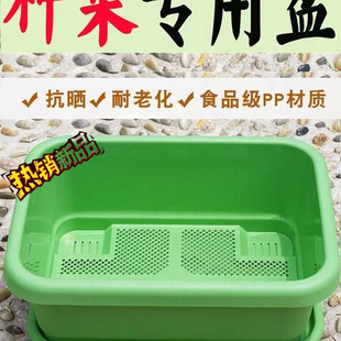 �̨�N����Ӻ��L�����������ͥ�߲˷Nֲ��N�˴�̖���û���