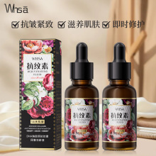 Whsa DNA钠胶原素精华液回春冻龄液面部保湿护理深层补水精华批发