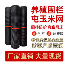 �Bֳ�W�~�����o�W���ϾW����ھW�B�u�W���òˈ@���@���ږř�E18