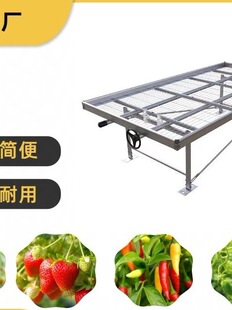 �Ƅ��紲�紲�W�����紲���紲�����紲�紲�ܟ���\�紲
