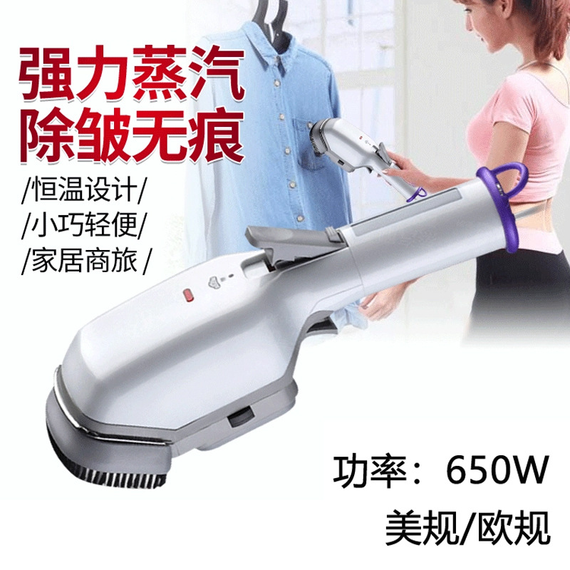 Portable Garment Steamer for Home Use, Handheld Steam Ironing Brush 650W, Mini Steam Brush, Plug-in Travel Electric Iron