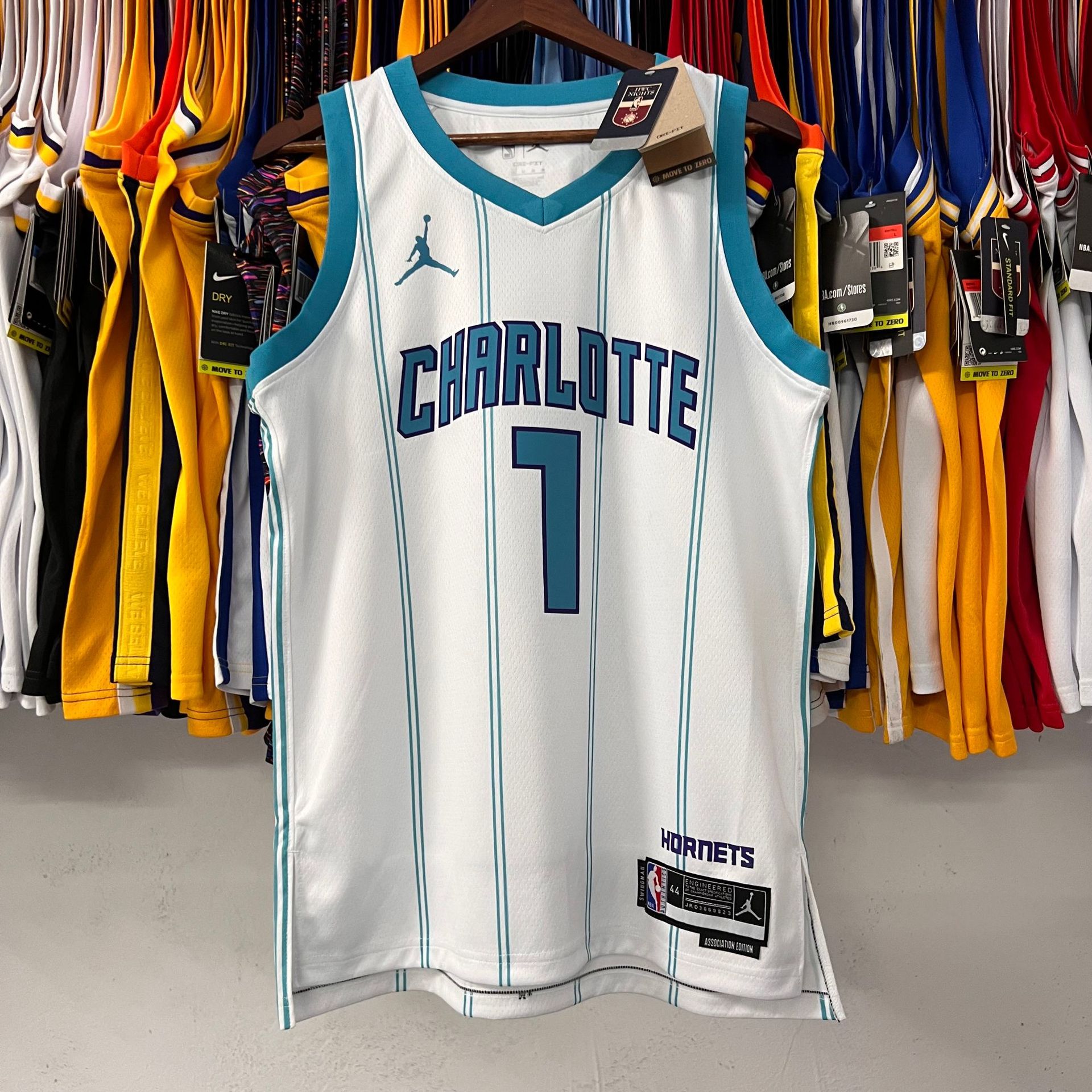 Charlotte Hornets NBA Jersey Design